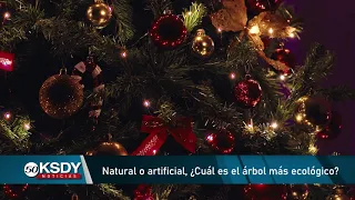 Natural o artificial, ¿cuál es el árbol de navidad más ecológico?
