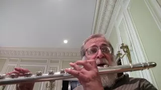 more bass flute fun