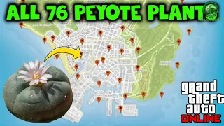 GTA Online 0 All 76 Peyote Plant locations