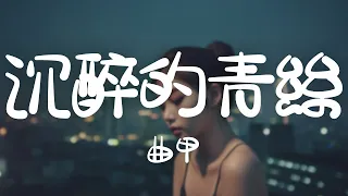 曲甲 -《沈醉的青絲 (想你 念你)》｜我會想你念你  到最後的荼蘼【動態歌詞Lyrics】