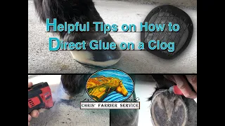 Direct Glue-On Plastic Clog for Horse Hoof Rehabilitation