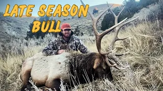 CHASING BIG WYOMING BULLS ON PUBLIC LAND. ELK HUNTING 2023.