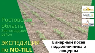 Экспедиция NO-till: Бинарный посев подсолнечника и люцерны