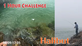1 Hour Challenge /Halibut fishing with Carolina Rig/California 캘리포니아 해변에서 캐롤라이나 리그로 1시간 동안 광어낚시 도전