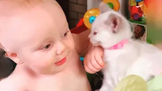 Baby and Cat Fun and Cute #11 - Funny Baby Video