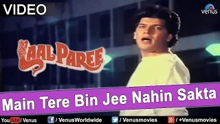 Main Tere Bin Jee Nahin Sakta (Laal Paree)