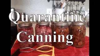 Canning Beef While Sheltering In With Linda's Pantry