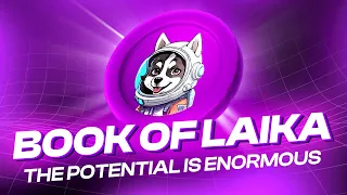 THE POTENTIAL OF BOOK OF LAIKA IS ENORMOUS!