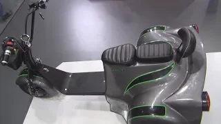 Motolux Electric Trike (2020) Exterior and Interior