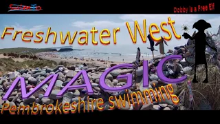 Harry Potter’s place - Freshwater West - Pembrokeshire Magic Wild Swimming - SwimTo - Dobby’s Grave
