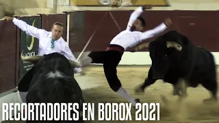 ⚠️ ¡UN TORO BRAVO DE 600KG PARA LOS RECORTADORES! · 💥 CONCURSO DE RECORTES EN BOROX