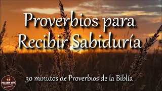 Proverbios para recibir sabiduría de parte de Dios | Biblia hablada | Bible audio