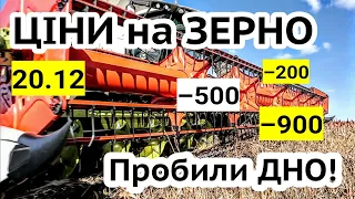 Ціни на зерно 20.12! Пшениця та Ячмінь падають. Соняшник -850. Іноземці зможуть купувати землю?