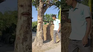 December 1, 2022 Horror ghost tree vs man - Funny vfx magic video