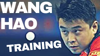 WANG HAO - LIN GAOYUAN Training Rare Private Record