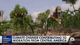 Climate change contributes to Central American migration as White House tries to stem its surge