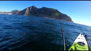 Kayak Fishing for Yellowtail at Cape Point