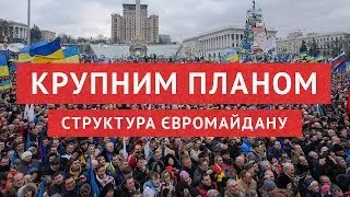 Структура протесту: Євромайдан представляють понад 10 груп різних організацій