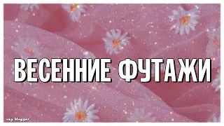 ВЕСЕННИЕ ФУТАЖИ ДЛЯ ВИДЕО // SAY BLOGGER //