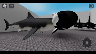Shark vs Orca