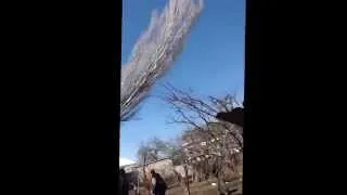 Это видео взорвало интернет