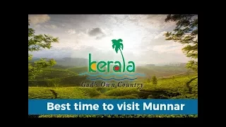 Best time to visit Munnar