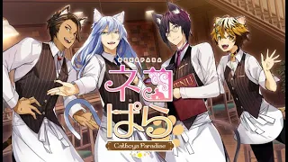 Обзор игры - NEKOPARA Catboys Paradise