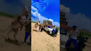 डीजे और घोड़ी का जबरदस्त डांस !! DJ V/S Ghodi dance video !! Top STAR || Rajsthani Dj video #dj