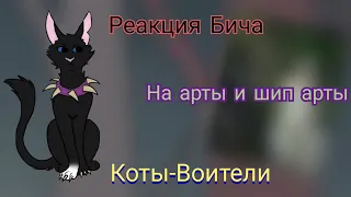 КОТЫ ВОИТЕЛИ - РЕАКЦИЯ БИЧА НА АРТЫ И ШИП АРТЫ