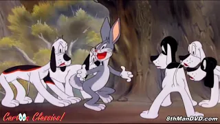 best of looney toons bugs bunny cartoon compilation hd 1080p