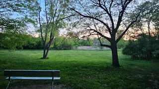Sunset at the Park #nature #sunset