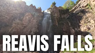 Reavis Falls hike