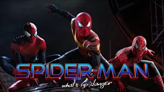 Spider-Man : No Way Home || What's up Danger || Spider-Verse