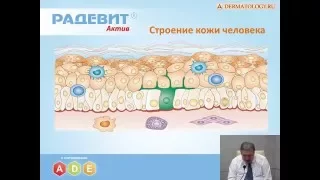 Применение препаратов на основе витаминов А, D и Е в дерматологии и косметологии