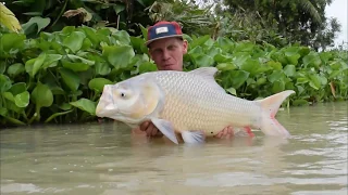 Fishing in Thailand @ Jurassic Mountain Resort and Fishing Park: Alan Blair Carp Fishing