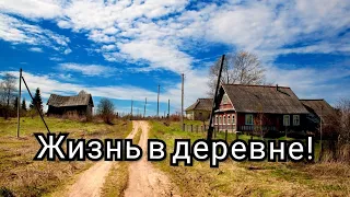 Деревенские будни. События за 4 дня в деревне. Жизнь в деревне.