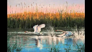 💗 Лебеди, полет, озеро, камыши. Живопись маслом. Рисуем вместе с художником Александром Григорьевым