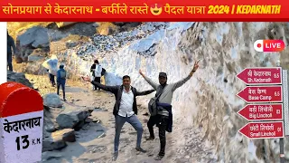 सोनप्रयाग से केदारनाथ - बर्फीले रास्ते 😍 पैदल यात्रा 2024 | Kedarnath | Uttrakhand@soloDVlogs