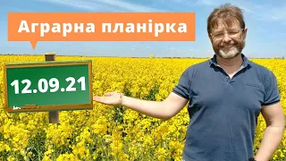 12 09 21. Лущення стерні. Як знищити Шкідників і бур'яни? Збирання. Посів | Аграрна планірка