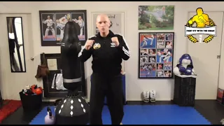 Fight Fit Tutorial - The front kick with Multiple World Champion Kman McEvoy