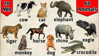Belajar bahasa Inggris | Nama binatang dalam bahasa Inggris | animals for kids