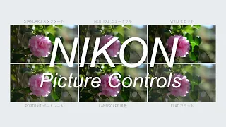 Nikon Picture Controls 4K | Nikon Z7