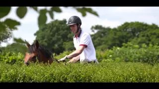 William Fox-Pitt: Olympic Eventing Against the Odds