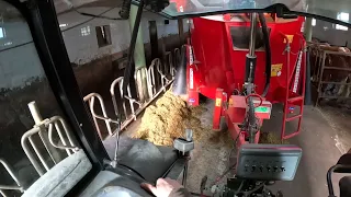 POV Feeding the Herd