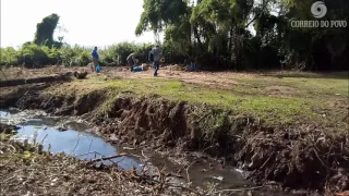 Mutirão de limpeza retira lixo do Guaíba