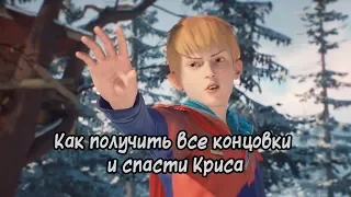 Как получить все концовки и спасти Криса в «Life is Strange 2. Эпизод 2»