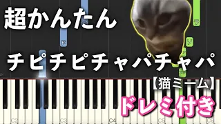 チピチピチャパチャパ (Chipi Chipi Chapa Chapa) 猫ミーム 【ピアノ簡単】Dubidubidu