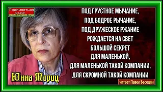 Большой секрет для маленькой кампании—  Юнна Мориц —   читает Павел Беседин