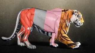 CGI Tiger | Breakdown