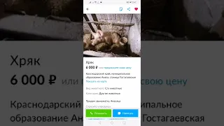 Смешные объявления с авито